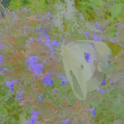 Pyłki / motyle - Single