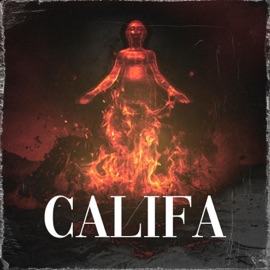 CALIFA Nico Savaro