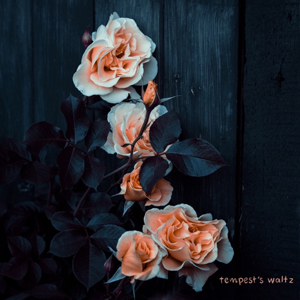 Tempest's Waltz - Single