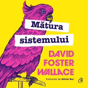 Mătura sistemului