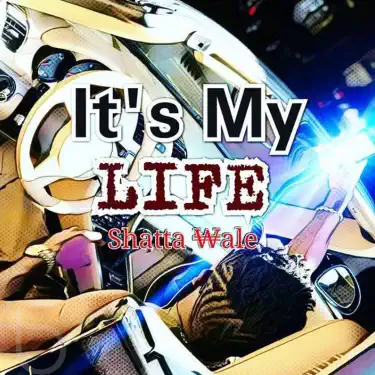 It's My Life (feat. Sarkodie)