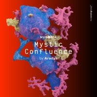 Mystic Confluence - Single - Aradya