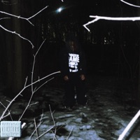 23.777.1932 - EP - $lither $aibot