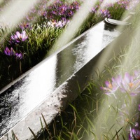 CLAYMORE - Single - EL$E