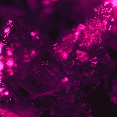 She Want It (Slowed & Reverb) - Single