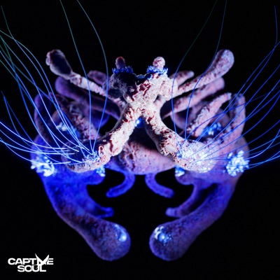 Hozho Naasha - Single