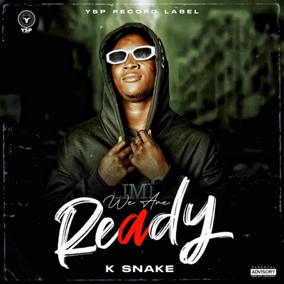 We Are Ready - Single
