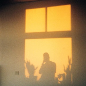 Daisies - Single