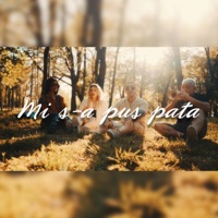 Mi s-a pus pata (feat. Reea) - Single - Robert Iovan