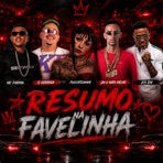 Resumo na Favelinha (feat. Puccatsunami) - Single