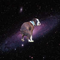 StruggleVision - Single - T.J. Freeq & Shamu The Panda