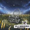 НИЧЕГО НЕ ГОВОРИ (DJ SMASH RADIO REMIX) - NIVESTA