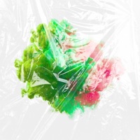 Pink & Green Freestyle - Single - Spencer Laster