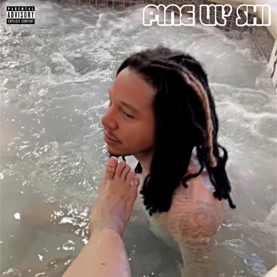 Fine Lil' Shi - Single