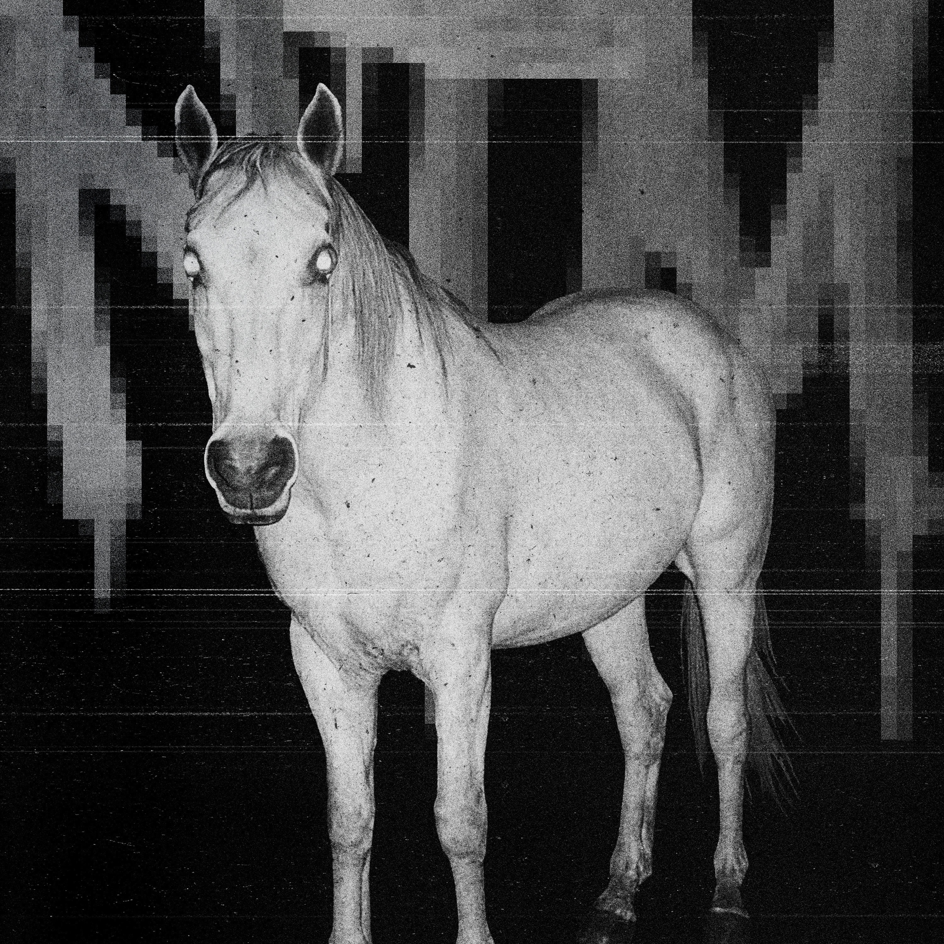 NTM - Single