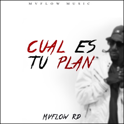 Cual es tu plan (feat. Mvflow Rd) - Single