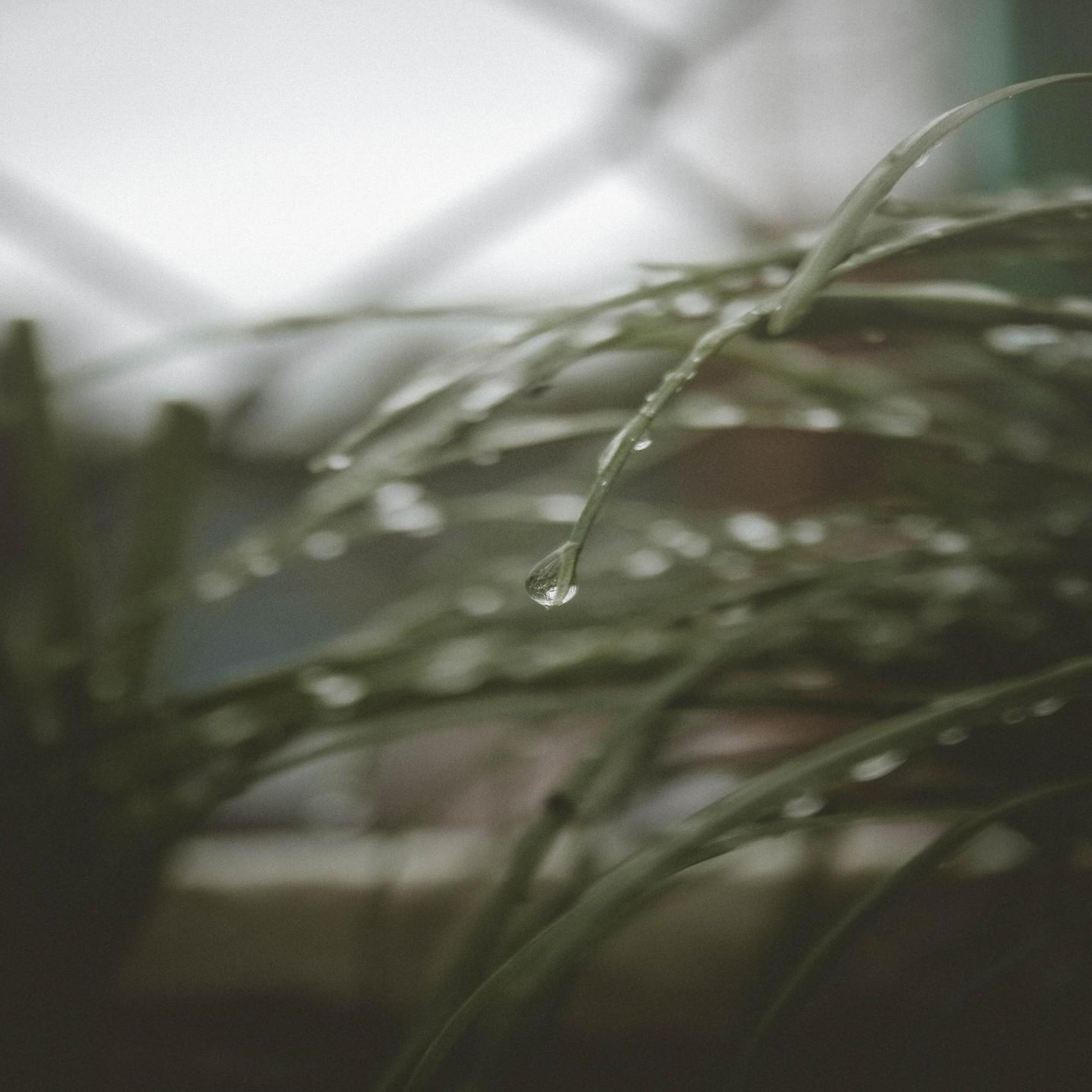 SEKEPING HATI - SAUJANA (COVER) << DJ ASAN SBS Tetap Unggul >>