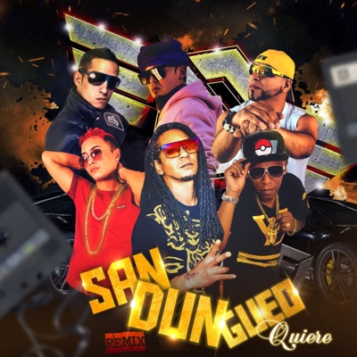 Sandungueo Quiere (Remix) [feat. kike mouse, Dj Solido, Dava Don, Da Jeipi, Mr Candy Kazu & Douglas More] - Single