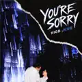 You're Sorry