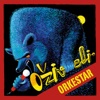 Ziveli Orkestar