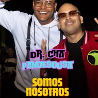 Somos Nosotros (feat. Doctor Cha & Alfredo Mix) - Single - Pandesousa
