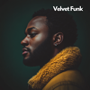 Endless Night - Velvet Funk