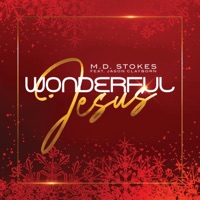 Wonderful Jesus (feat. Jason Clayborn) - Single - MD Stokes