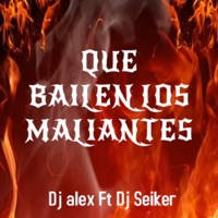 Que Bailen Los Maleantes (feat. Dj Alex Del Callao & Dj Seiker) - Single - JodeeraMusic