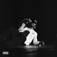 Rich On Fire (feat. Dominique Larue & Keef Metro) - Single - Tha Audio Unit