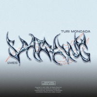 sparking (feat. Turi Moncada) - Single - 1mes