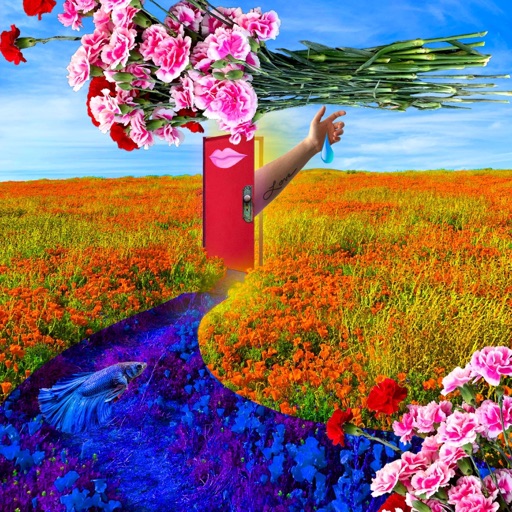 Album artwork