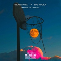 Sex Mind (feat. Big Wolf) - Single - Seanchez