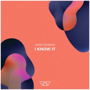 I Know It - Single