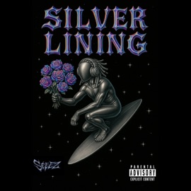 Silver Lining! (feat. Jmookie) Seeez