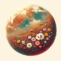 Superbloom - Single - Waxamilion