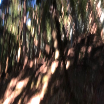 gut feeling - Single