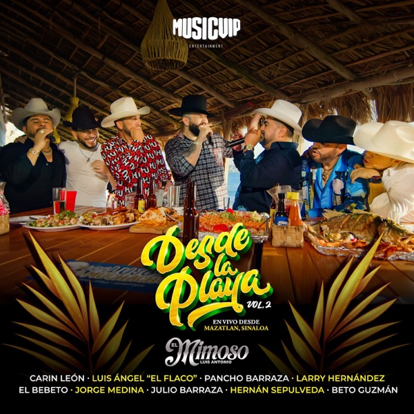 Desde La Playa, Vol. 2 (En Vivo)