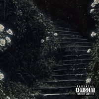 PsYcHo - Single - Rosé