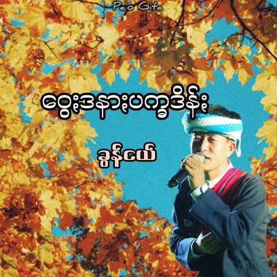 Pa'o Gita - ဝွေႏဒနာႏပက္ခဒိန်ႏ - ခွန်ငယ်