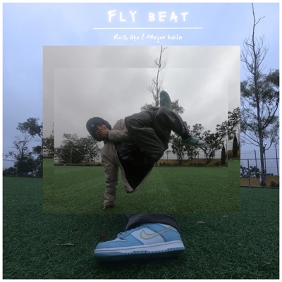 Fly Beat - Single