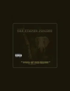 Ascolta The Nympho Project, guarda video musicali, leggi la biografia, vedi le date del tour & altro!