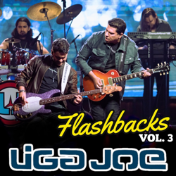 Flashbacks, Vol. 3 (2025) - Liga Joe Cover Art