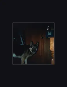 Ouve Artificial Heat, vê vídeos de música, lê a biografia, vê as datas da digressão e muito mais!