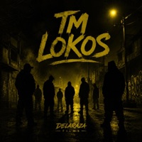 El Que Hace HipHop (feat. Skire Loko, Fuvu, Ratata & Gafas One) - Single - TM Lokos