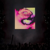 issues / bloom - Single - JShiny & EIAS