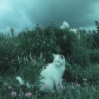 Schritte - Single - Yunnaiv