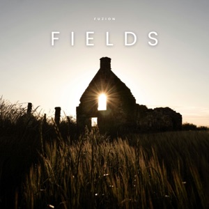 Fields - Single