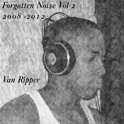 Forgotten Noise, Vol. 2: 2008 - 2012