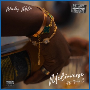 Metroverse (feat. Tonee C) - Single