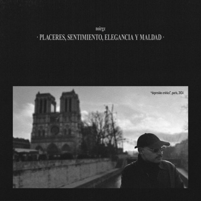 PLACERES, SENTIMIENTO, ELEGANCIA Y MALDAD - Single